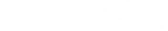 DFIRST.AI Logo